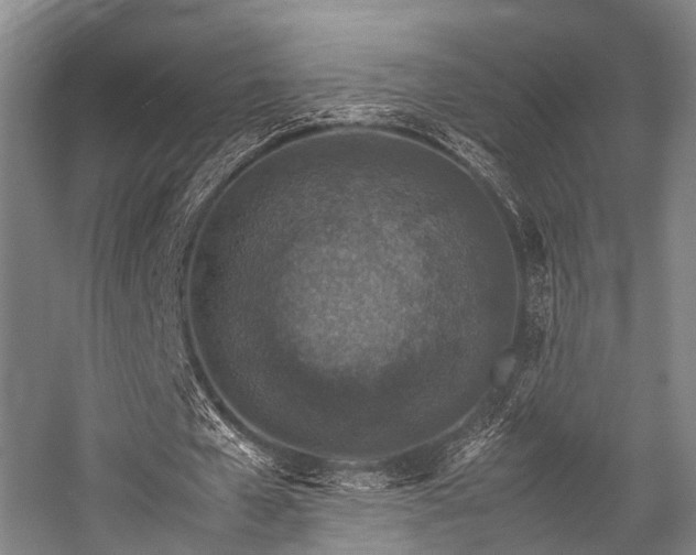 X0000057080577200509120923