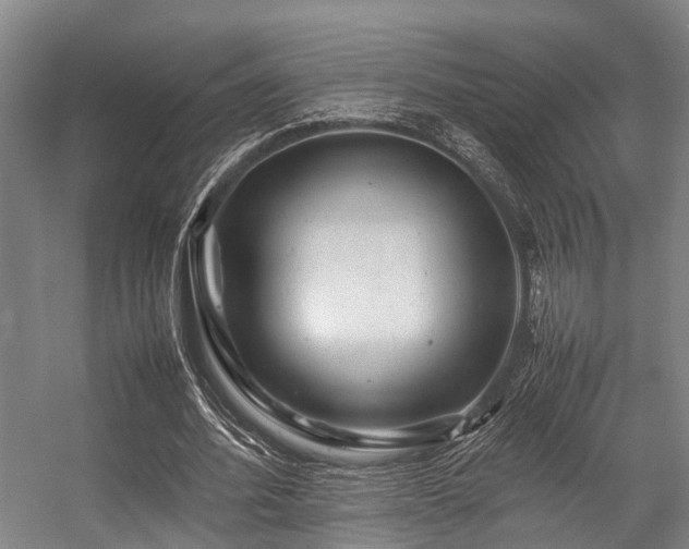 X0000057080580200509120923