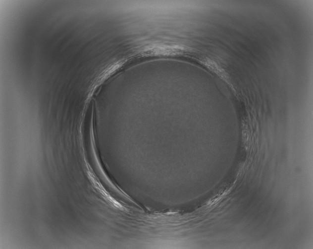 X0000057080581200509120923