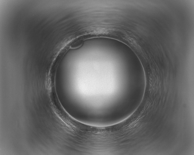 X0000057080584200509120923