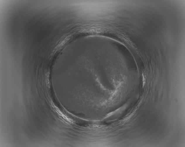 X0000057080585200509120923