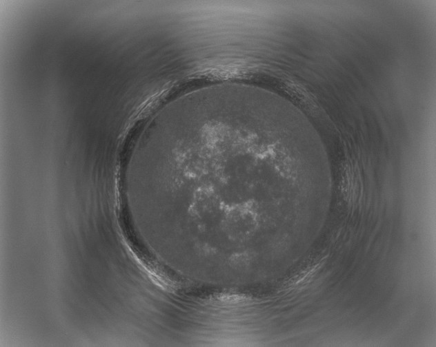 X0000057080590200509120922