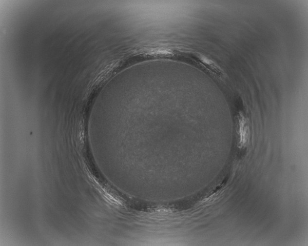 X0000057080593200509120922