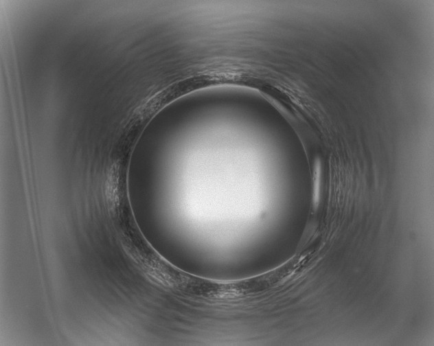 X0000057080600200509120922