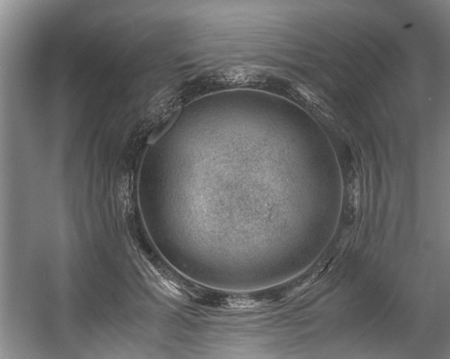 X0000057080605200509120922