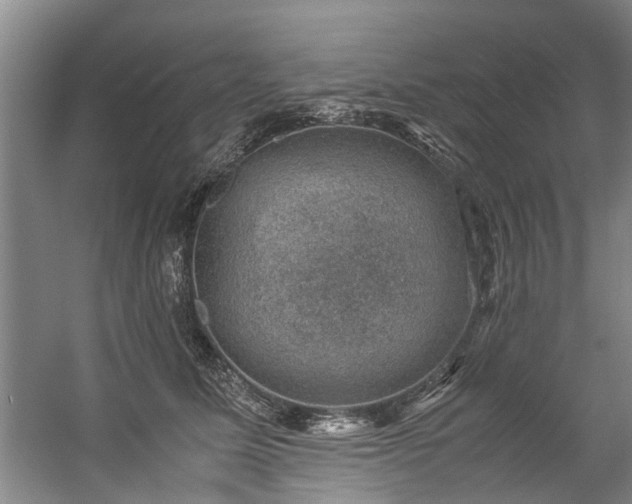 X0000057080611200509120922