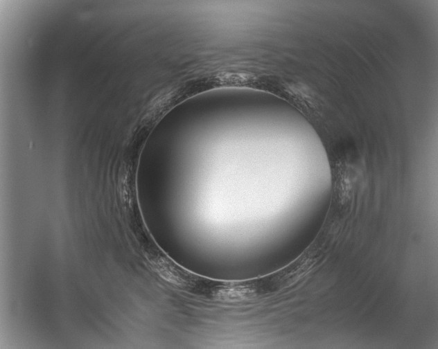 X0000057080619200509120922