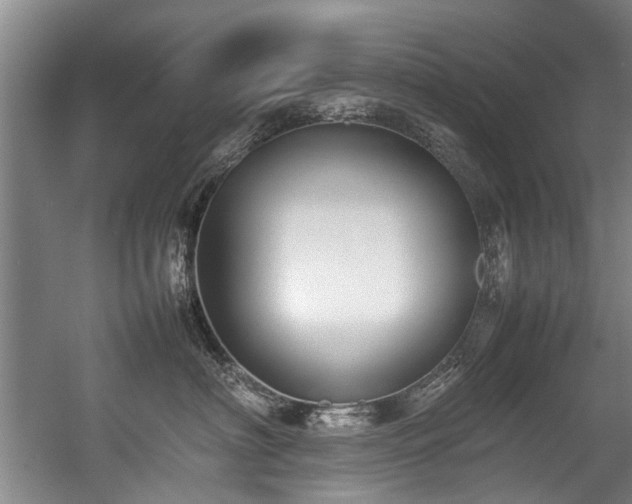 X0000057080622200509120922