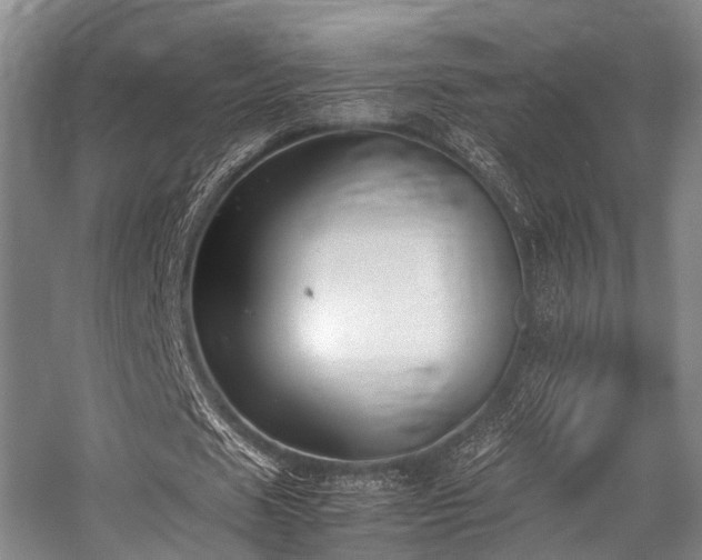 X0000057080625200509120921