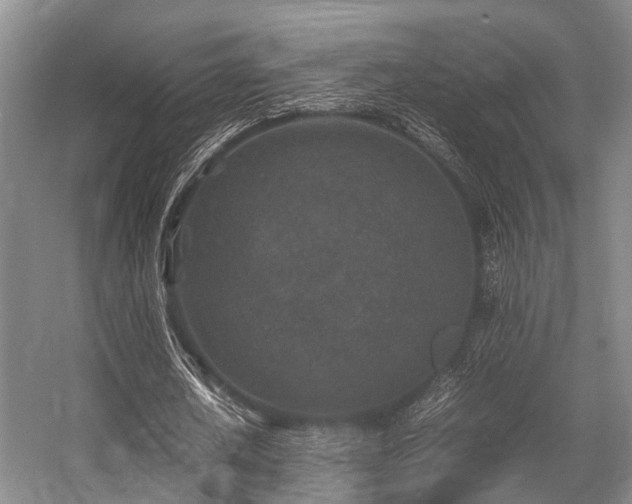 X0000057080626200509120921