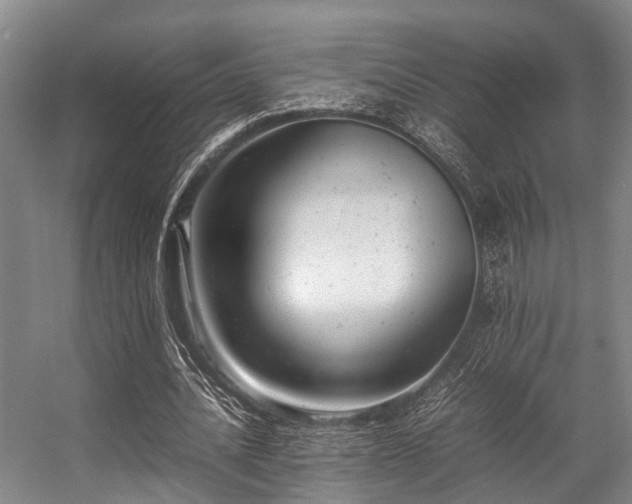 X0000057080628200509120921