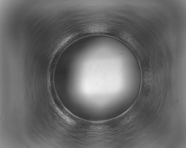 X0000057080629200509120921