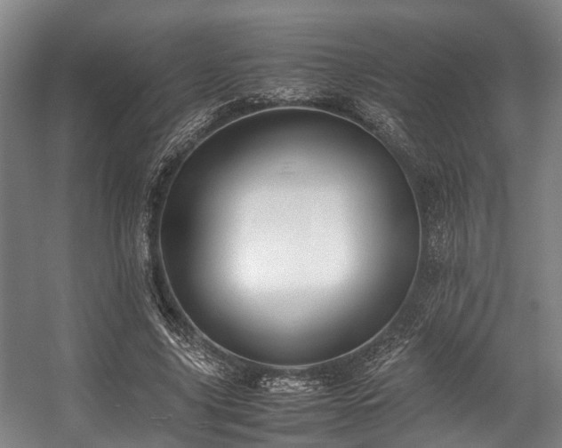 X0000057080635200509120921