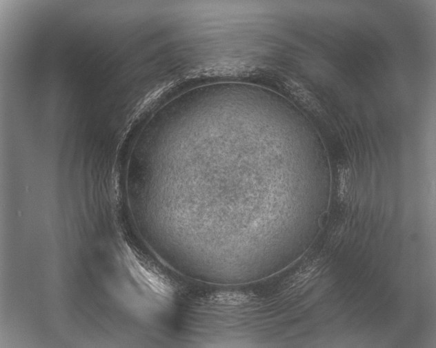 X0000057080636200509120921