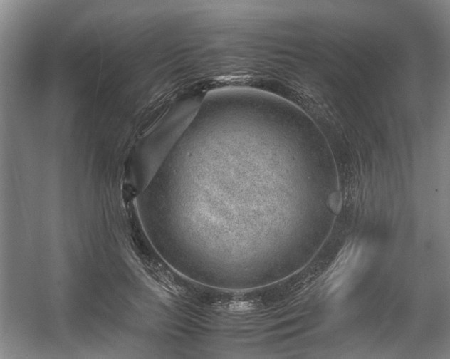 X0000057080647200509120921