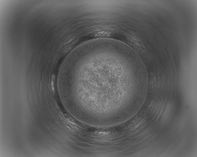 X0000057080649200509120921