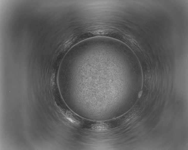 X0000057080652200509120921