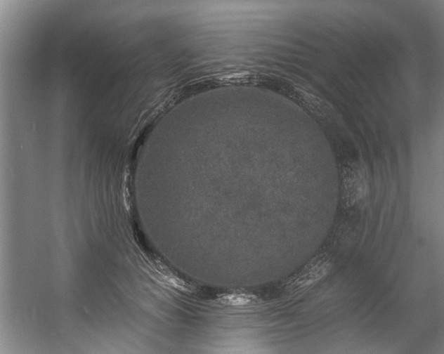 X0000057080654200509120922