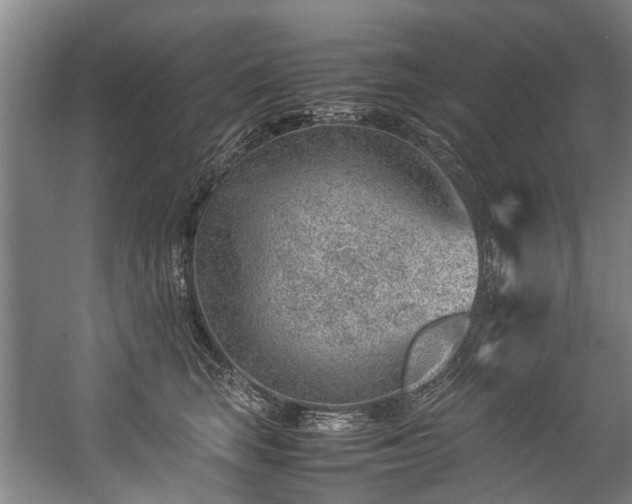 X0000057080663200509120922