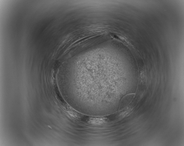 X0000057080671200509120922