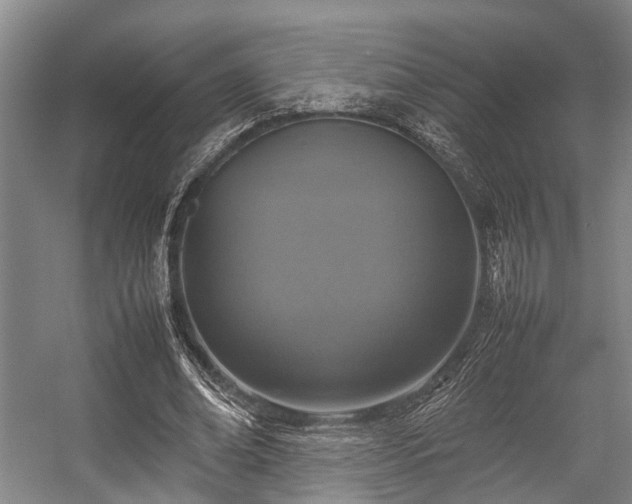 X0000057080678200509120921