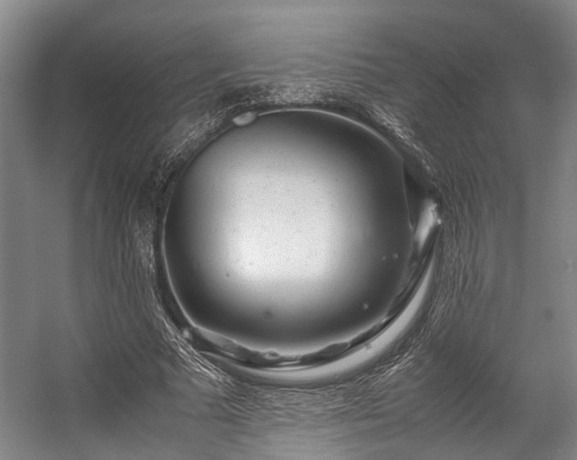 X0000057080681200509120921