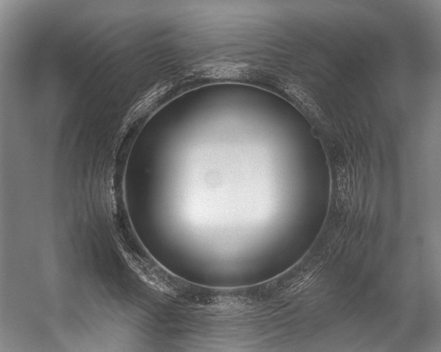 X0000057080682200509120921