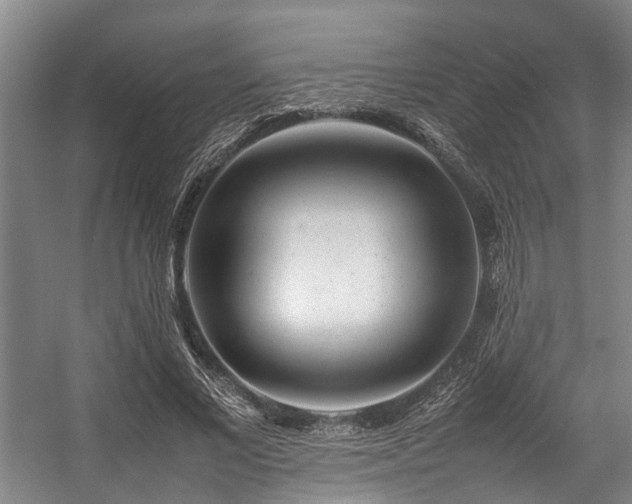 X0000057080685200509120921