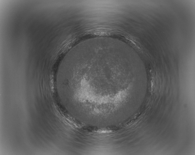 X0000057080696200509120921