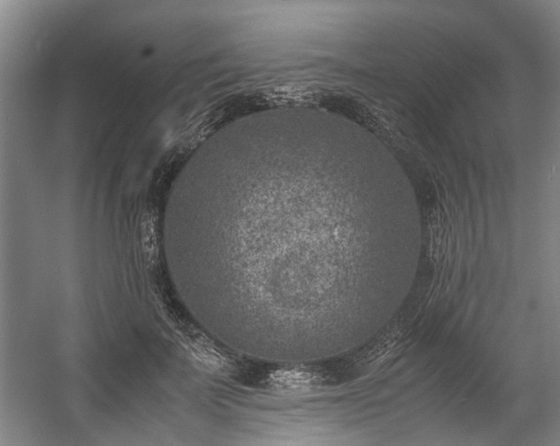 X0000057080699200509120921