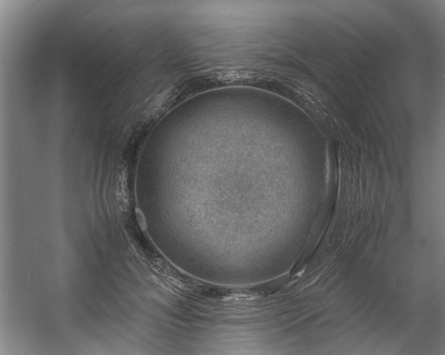 X0000057080700200509120921