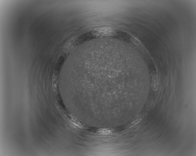 X0000057080701200509120921