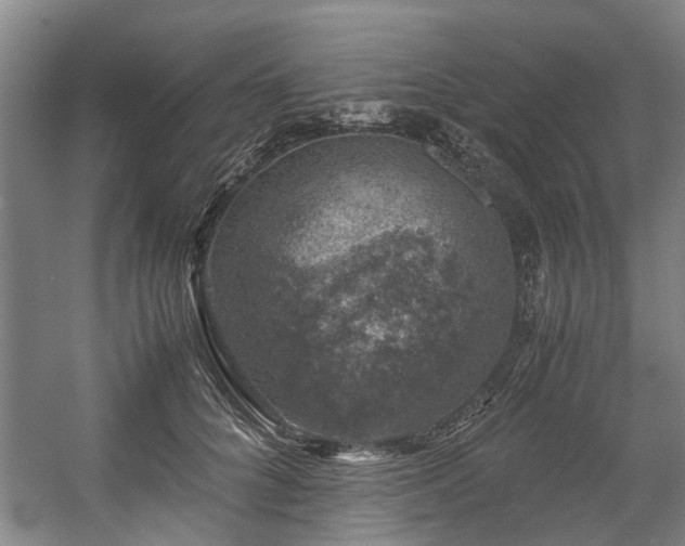 X0000057080704200509120920