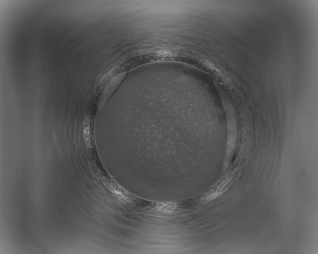 X0000057080720200509120920