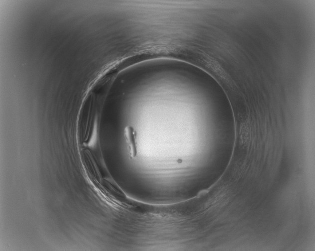 X0000057080722200509120919