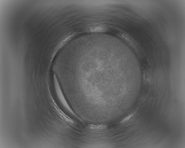 X0000057080725200509120919