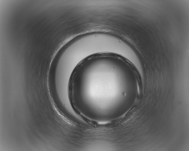 X0000057080726200509120919