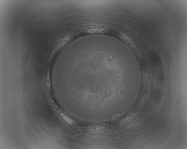 X0000057080729200509120920