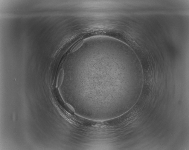 X0000057080742200509120920