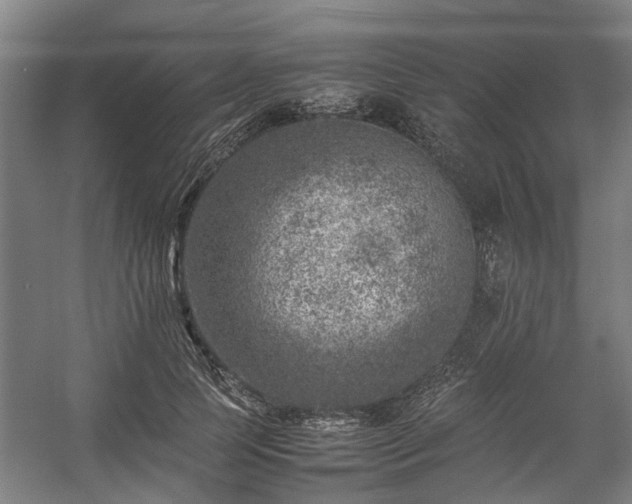 X0000057080745200509120920