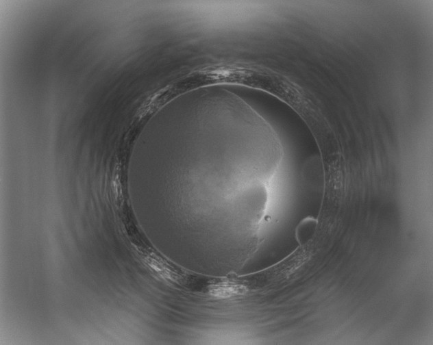 X0000057080754200509120920