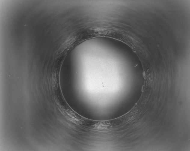 X0000057080756200509120920