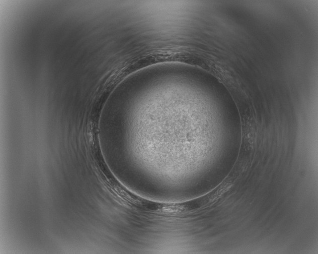 X0000057080758200509120920