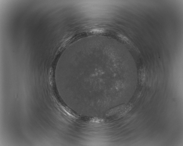 X0000057080760200509120920