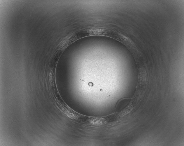 X0000057080761200509120920