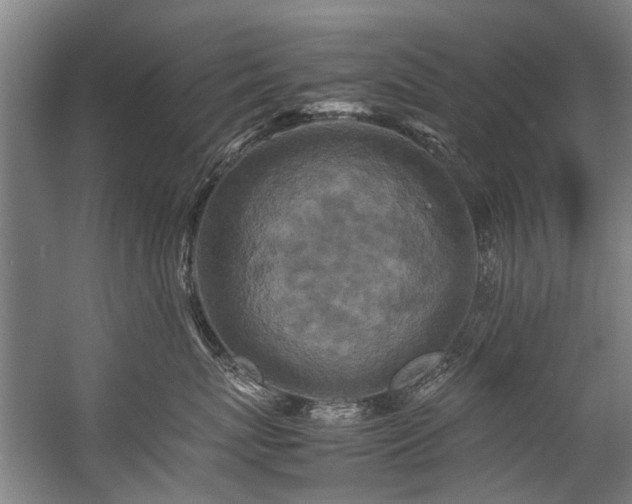 X0000057080767200509120920