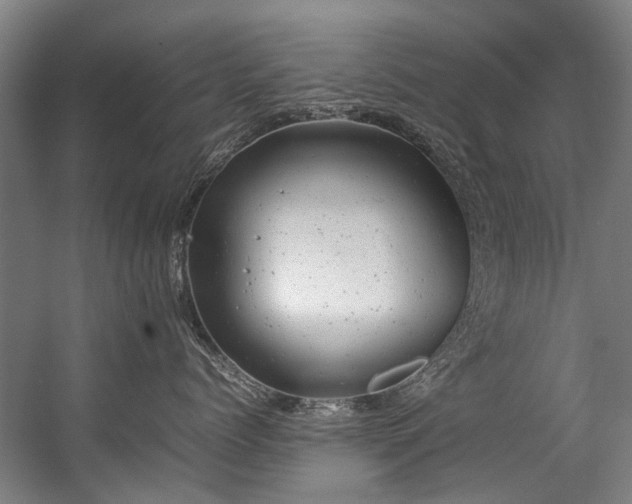 X0000057080768200509120920