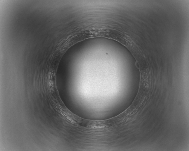 X0000057080770200509120919