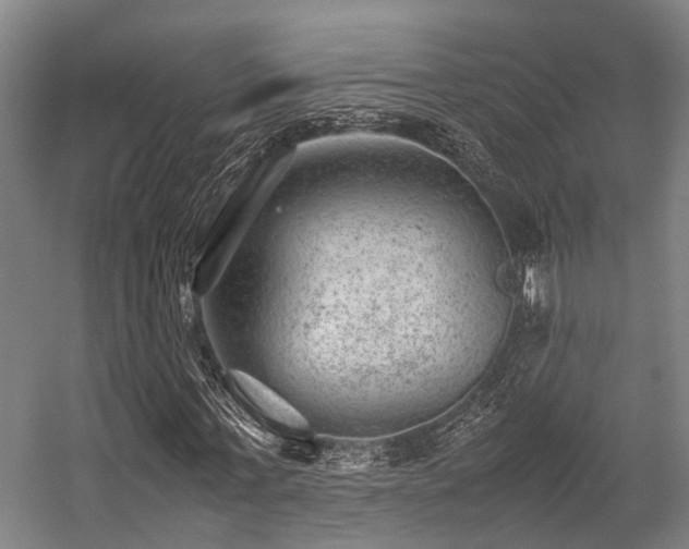 X0000057080771200509120919