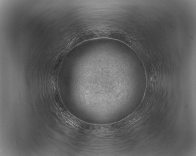 X0000057080772200509120919